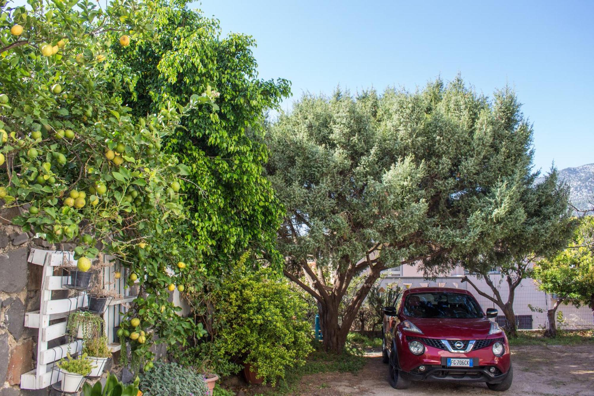 オロゼーイResidenze Branca III Seaviewアパートメント エクステリア 写真